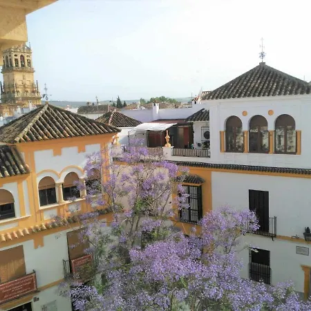 Appartamento La Casa De La Musica Cordova
