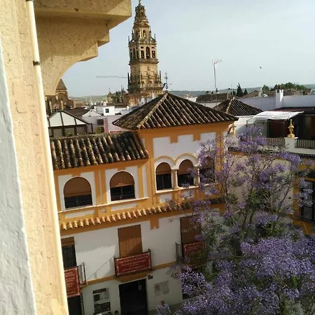 La Casa De La Musica Appartamento *